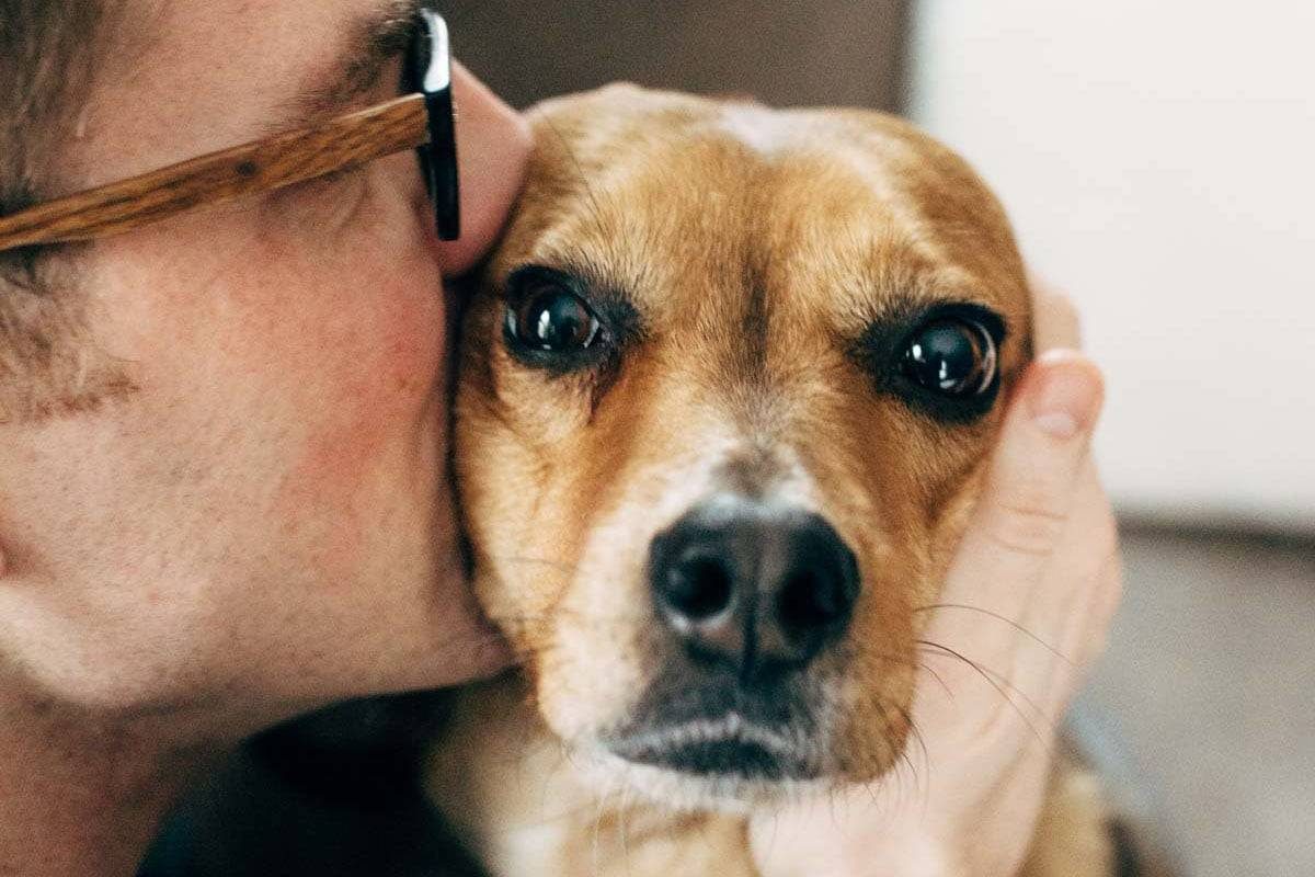 Man kissing a dog.