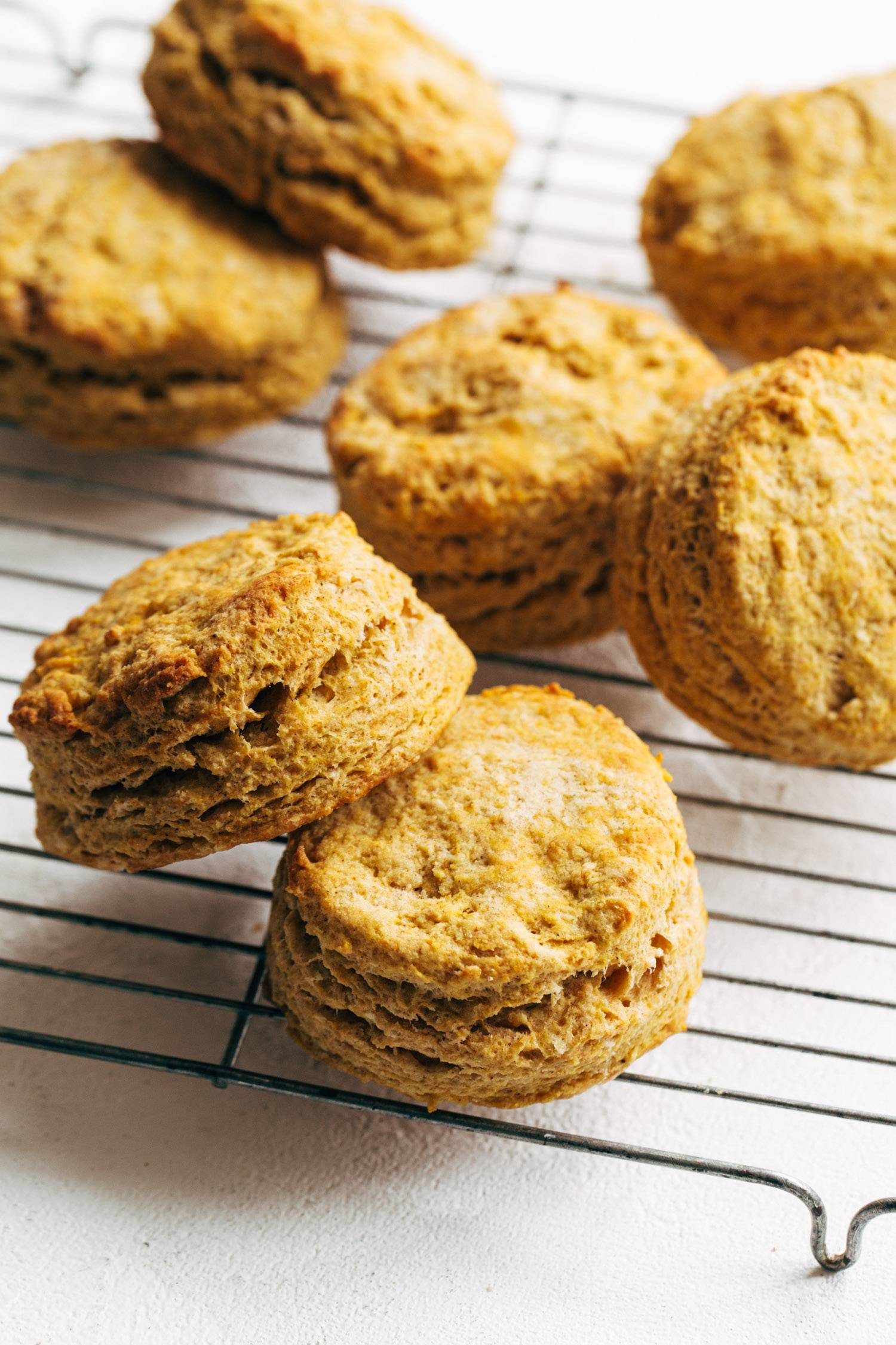 Pumpkin biscuits on a cooling rack.