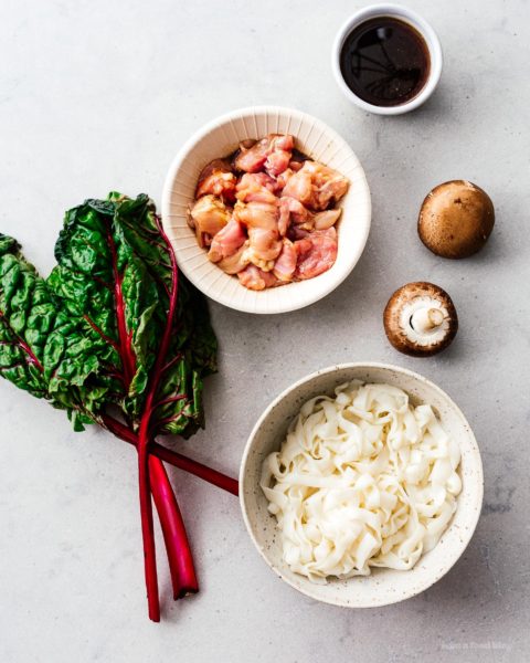 A quick and easy chicken shirataki noodle stir fry that is low carb, keto friendly, and absolutely delicious. You’re 9 ingredients and 10 minutes away from low-carb, keto noodle heaven. Plus, all the answers to the questions you have about shirataki noodles. #keto #ketodiet #ketofriendly #lowcarb #shiratiki #recipes #dinner #stirfry