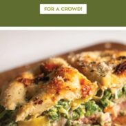 Focaccia Grinder Sandwich pin.