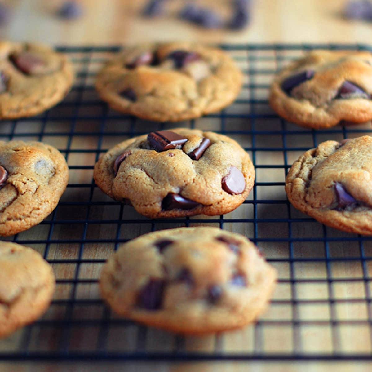 Malted double chocolate chip cookies on a drying rack.